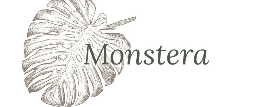 Monstera